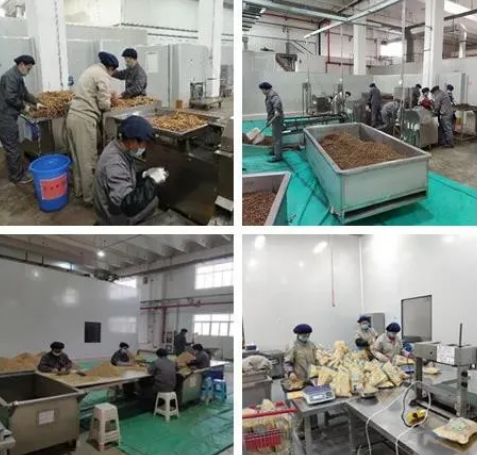 KS凯时·(中国区)官方网站