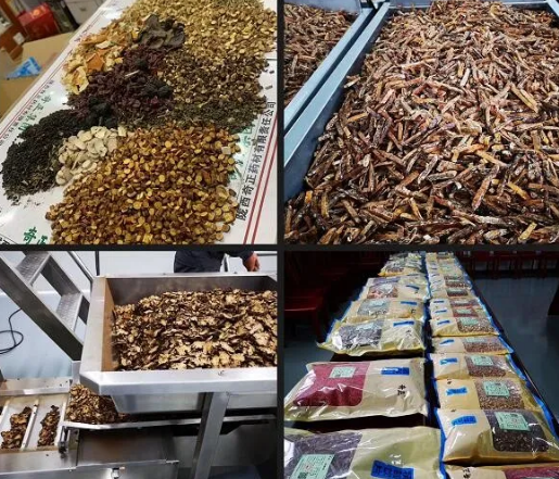 KS凯时·(中国区)官方网站