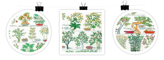 KS凯时·(中国区)官方网站