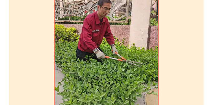 KS凯时·(中国区)官方网站