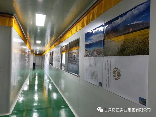 KS凯时·(中国区)官方网站