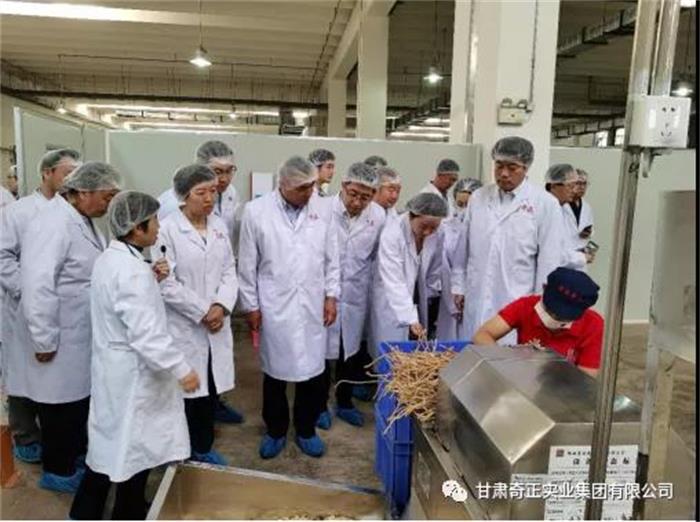 KS凯时·(中国区)官方网站