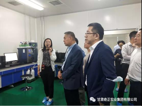 KS凯时·(中国区)官方网站