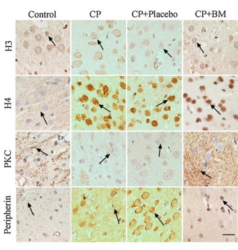 KS凯时·(中国区)官方网站