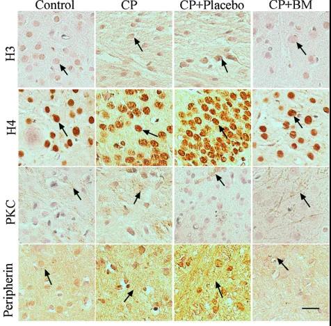 KS凯时·(中国区)官方网站
