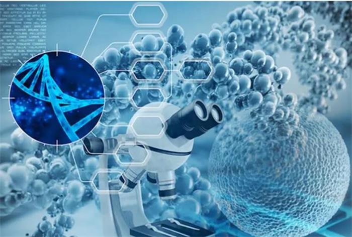 KS凯时·(中国区)官方网站