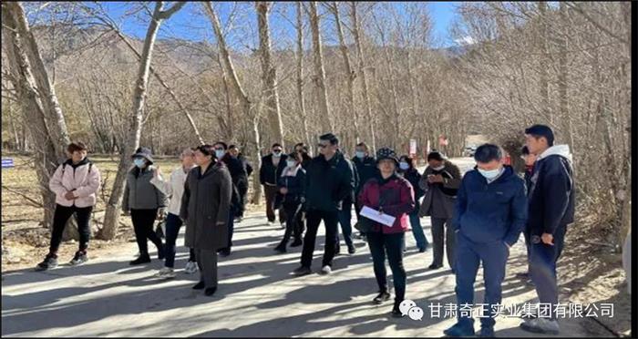 KS凯时·(中国区)官方网站