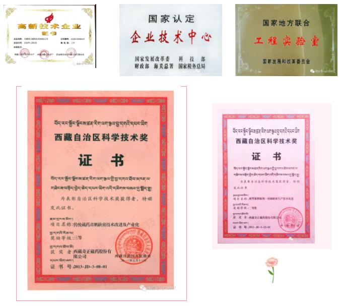 KS凯时·(中国区)官方网站