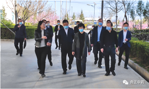 KS凯时·(中国区)官方网站