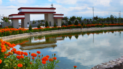 陇西ks凯时官网药材有限责任公司