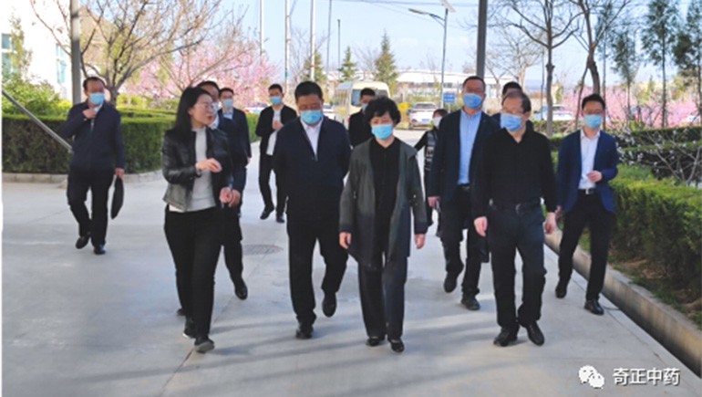 甘肃省副省长何伟一行光临陇西ks凯时官网调研领导