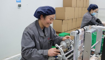 陇西ks凯时官网