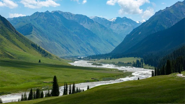 公司治理获高度认可！ks凯时官网藏药入选中上协“最佳实际案例”