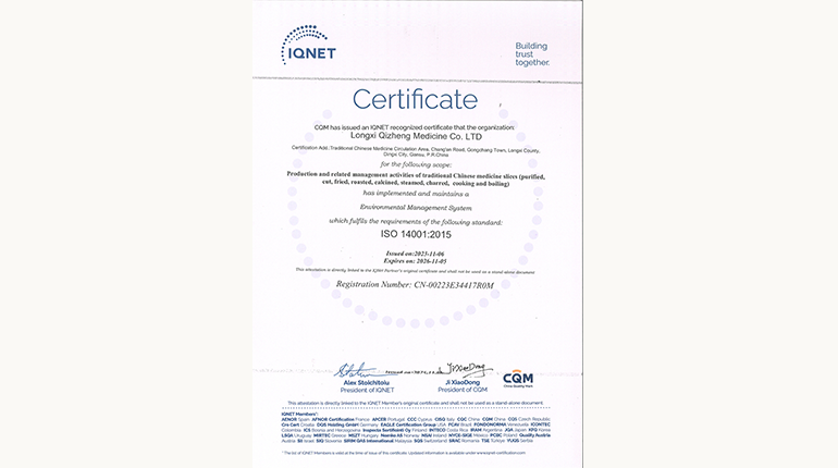 环境治理系统认证证书（英文）