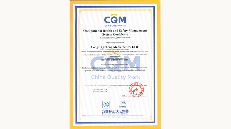 职业安全治理系统认证证书（英文）