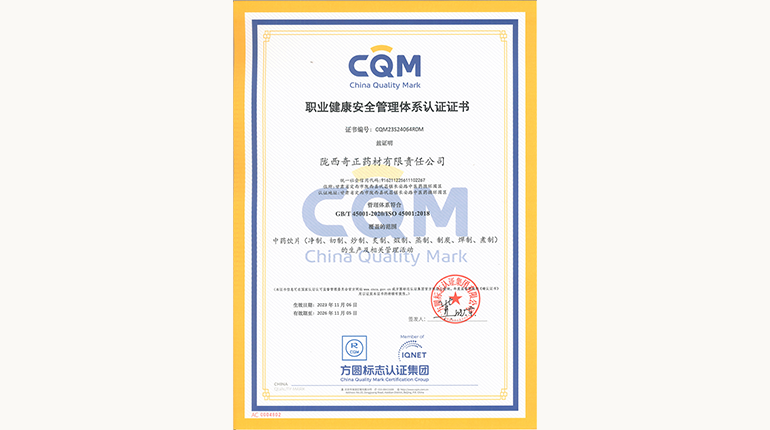 职业安全治理系统认证证书