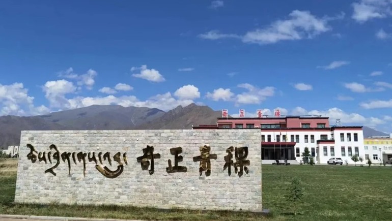 拉萨海关助力ks凯时官网青稞首批有机青稞、黑青稞出口香港