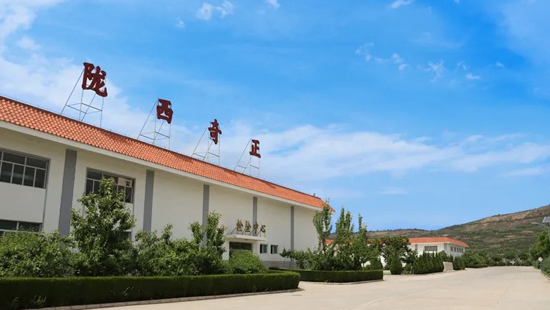 传承本草精炼，，，，，，，共筑品质将来 | 路地药材中药饮片分会正式成立，，，，，，，初次工作会议同谋发展